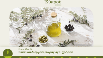 Podcasts-Food-Museum-Web-–-16.png